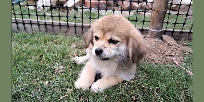 Conscious about food