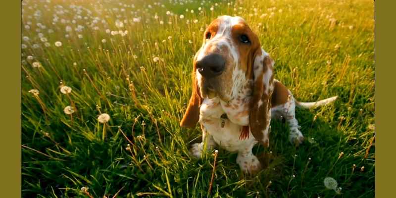 Ensuring Easy Access to Clean Water